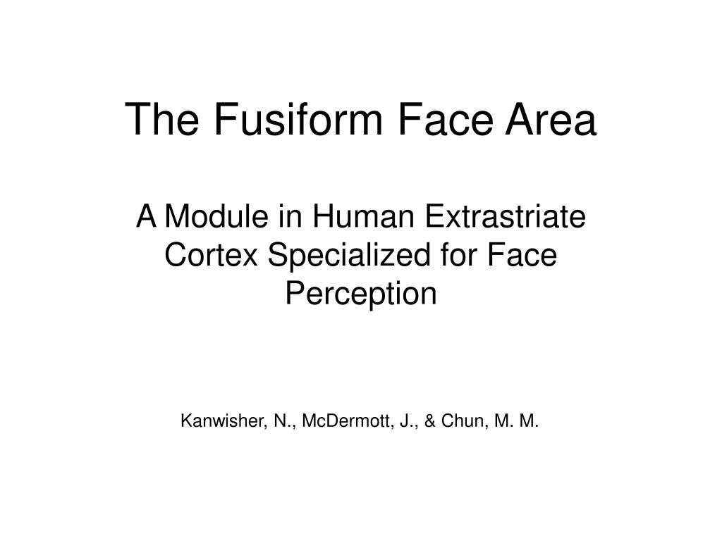 PPT - The Fusiform Face Area PowerPoint Presentation, free download ...