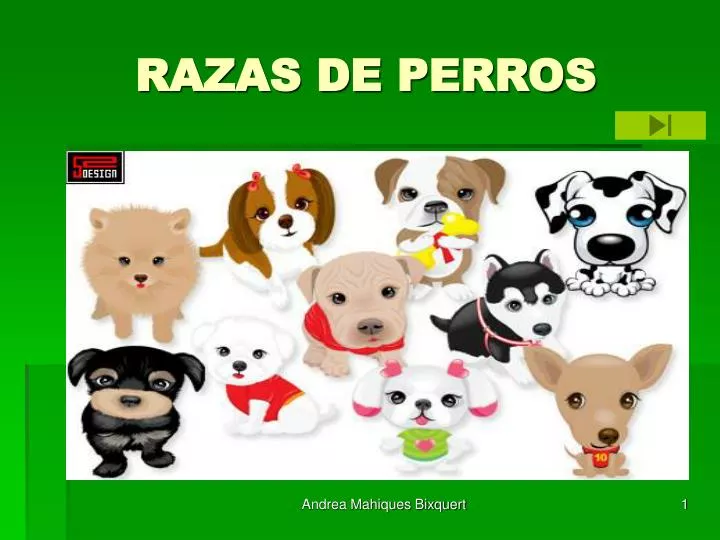 PPT - RAZAS DE PERROS PowerPoint Presentation, free download - ID:512104