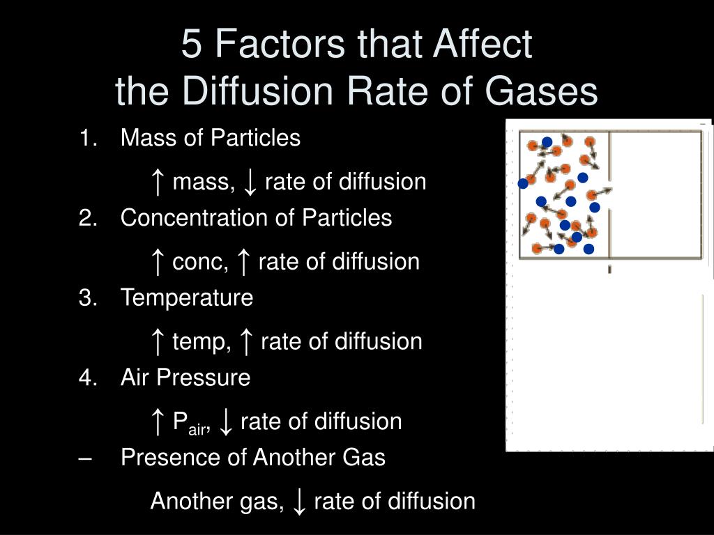 PPT Theory and Gases PowerPoint Presentation, free download