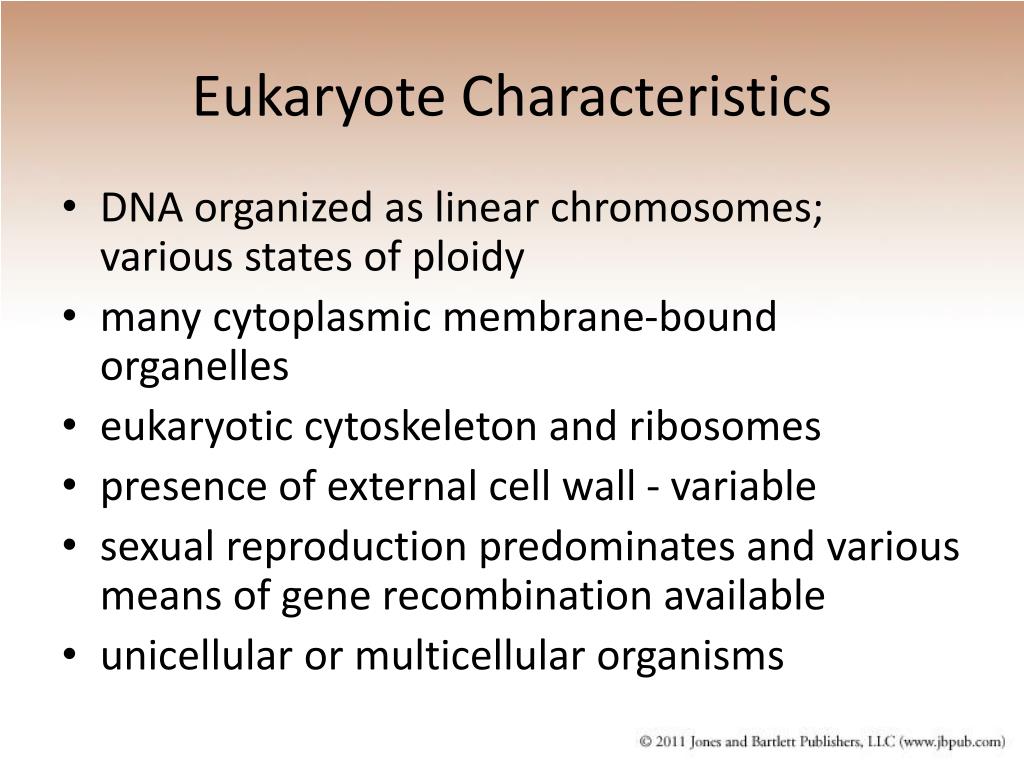 cell membrane pro or euk cell membrane pro or euk
