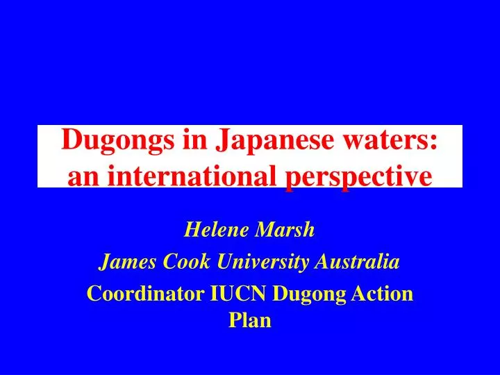 dugongs in japanese waters an international perspective n.