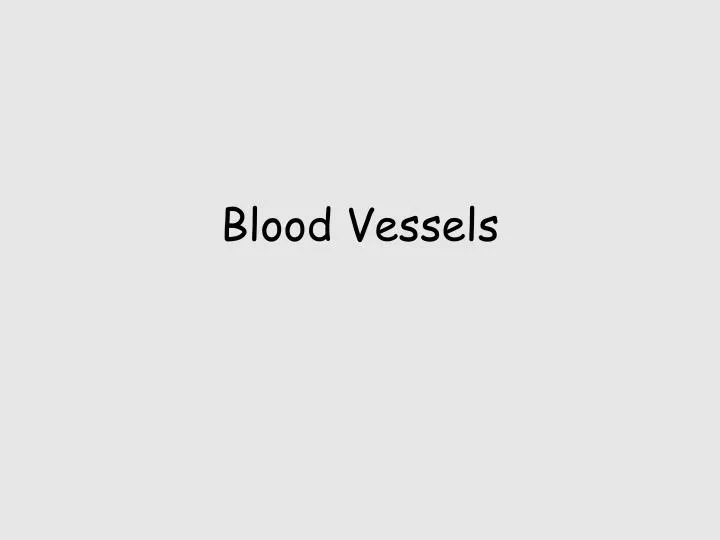 blood vessels n.