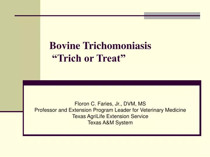How To Treat Trichomoniasis Naturally How To Treat Trichomoniasis Naturally