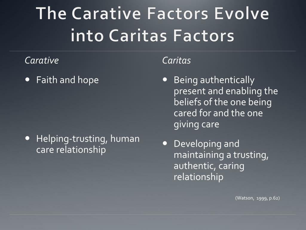 jean watson carative factors
