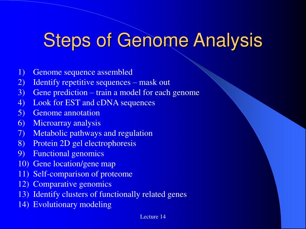 thesis on genome analysis