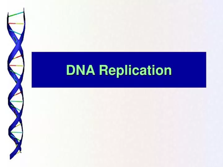 dna replication n.