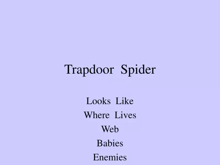 trapdoor spider n.