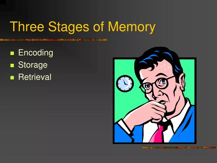 three stages of memory n.