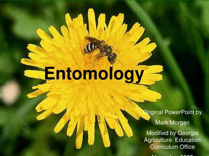 entomology n.