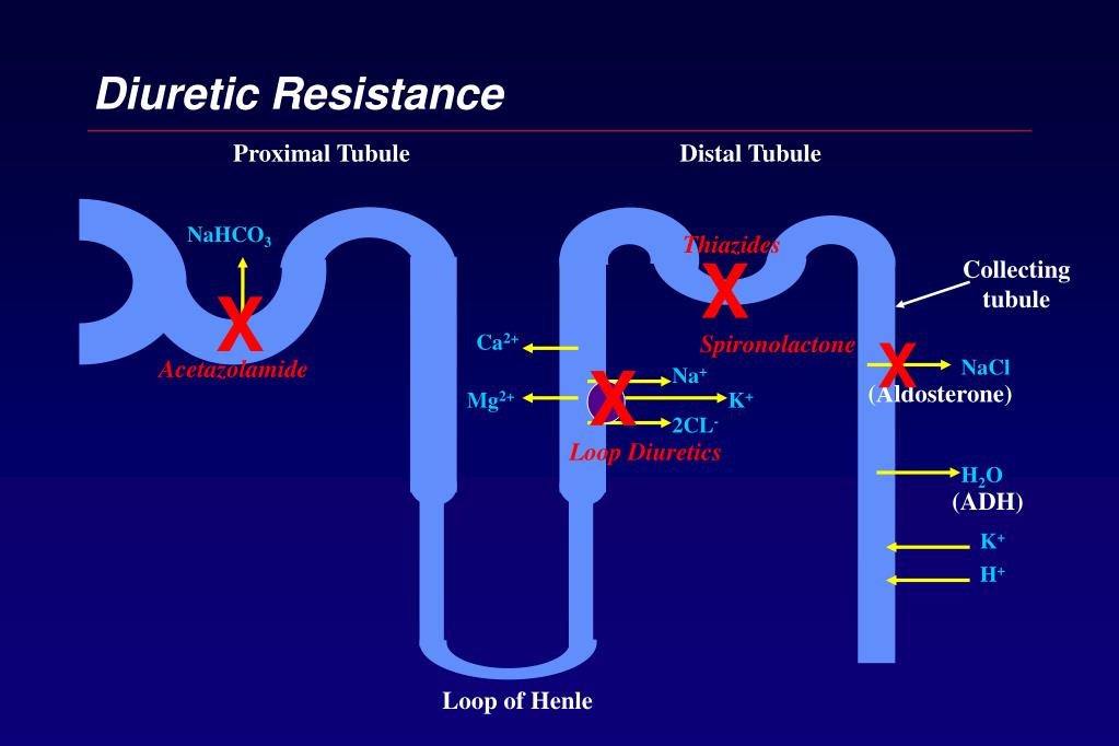 PPT - Medication Therapy Management Of The Patient With Congestive ...