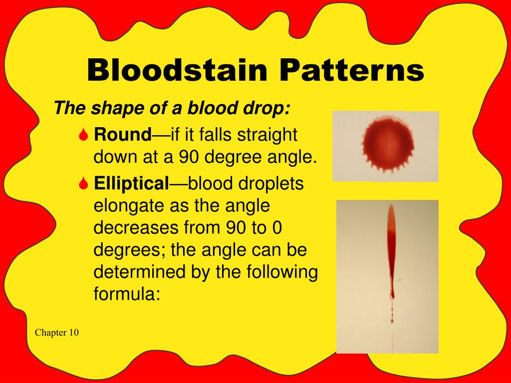 PPT Blood Part II Spatter PowerPoint Presentation, free download