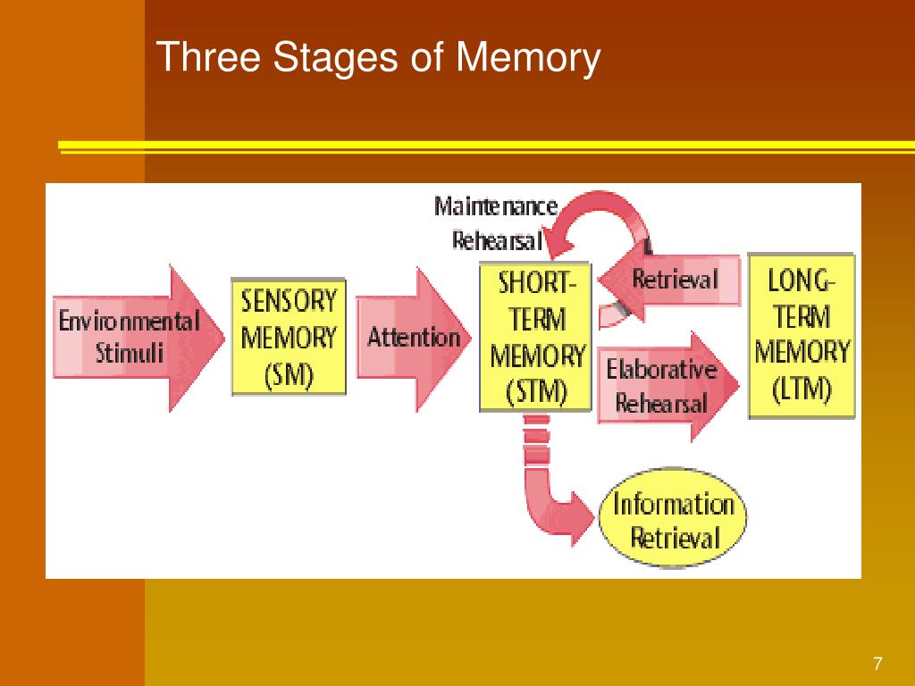 PPT - Memory Techniques for Interpreters PowerPoint Presentation, free ...