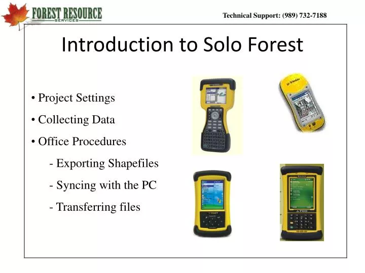 introduction to solo forest n.