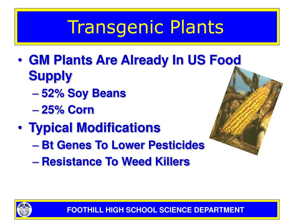 PPT - Chapter 13 Genetic Engineering PowerPoint Presentation - ID:520640