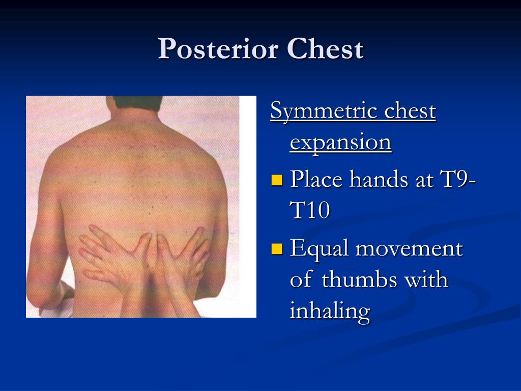 what is a chest excursion test