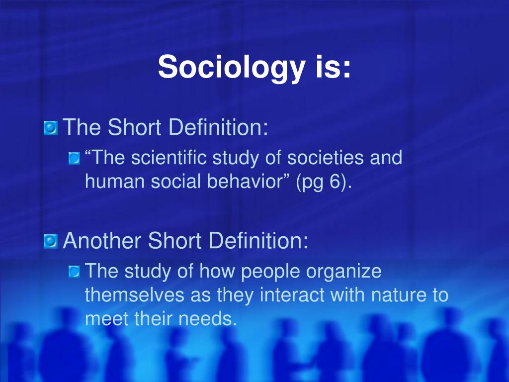 sociology definition