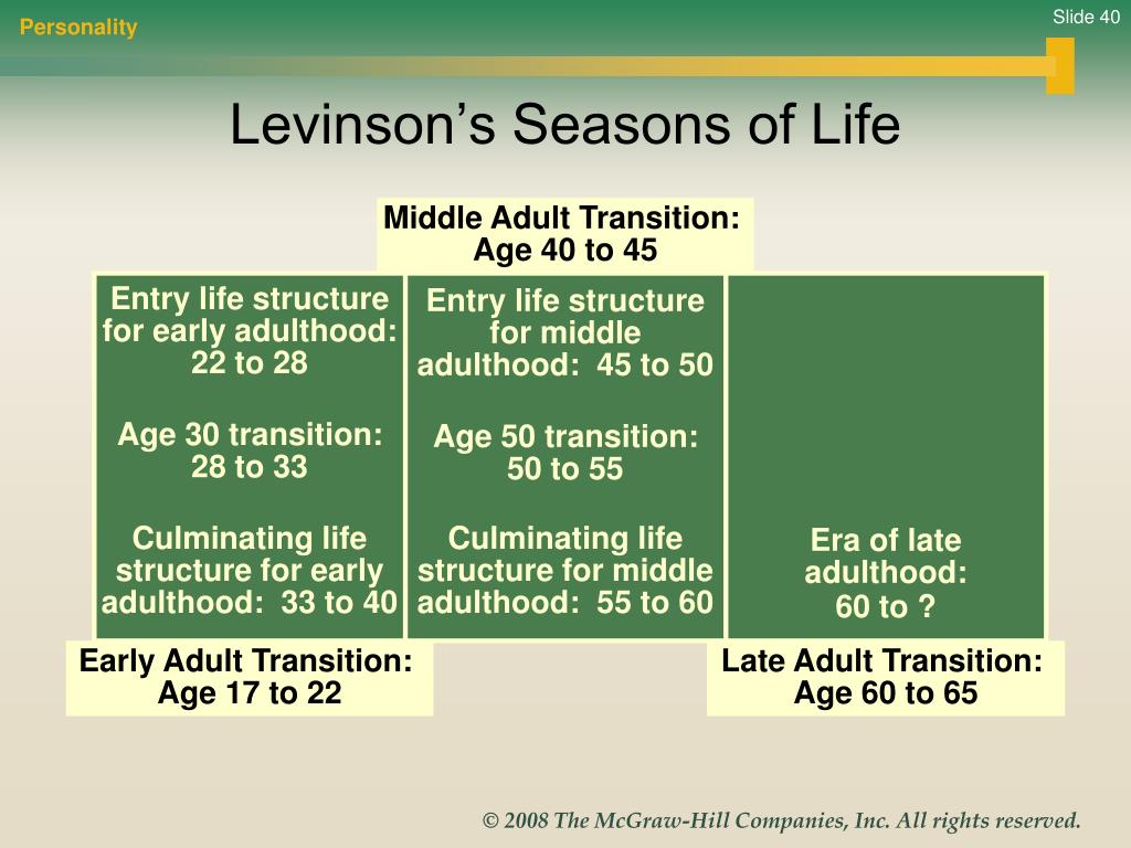 Enter life. Brown and Levinson. Brown and Levinson politeness Theory. Brown Levinson "стратегии коррекции". Теория поля Левинсон.