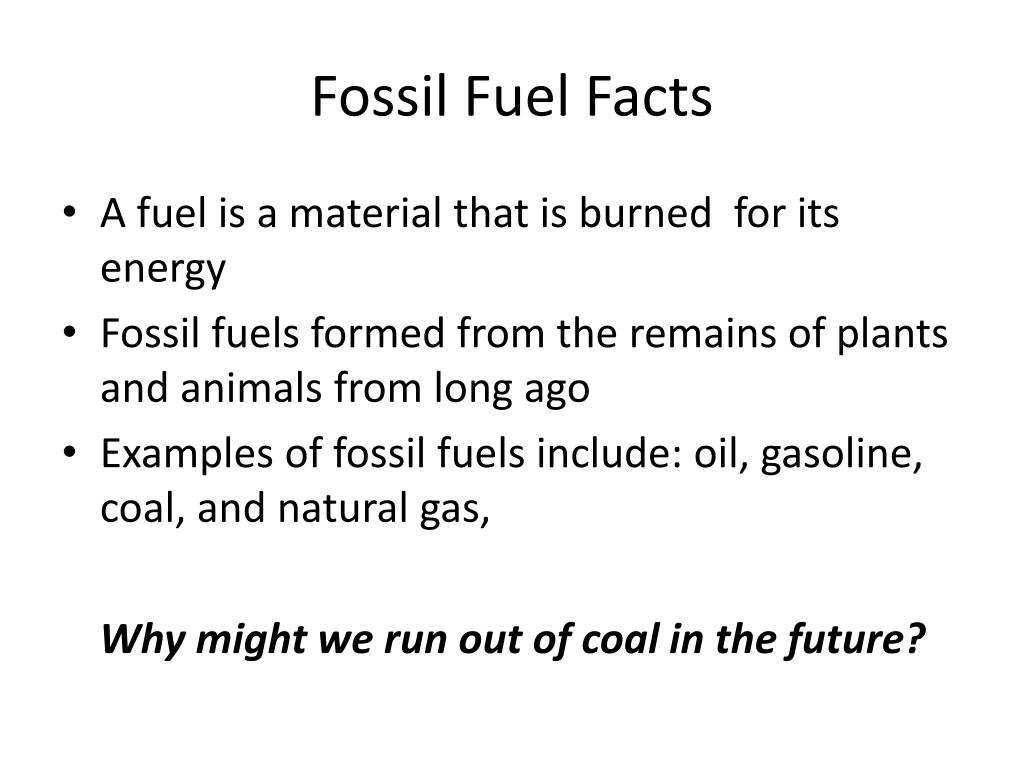 PPT - Fossils PowerPoint Presentation, free download - ID:522589