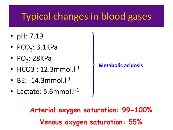 Pco2 In Shock PPT - Physiology of Shock PowerPoint Presentation - ID:523182
