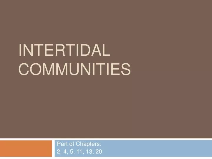 intertidal communities n.