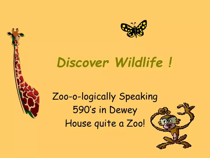 discover wildlife n.