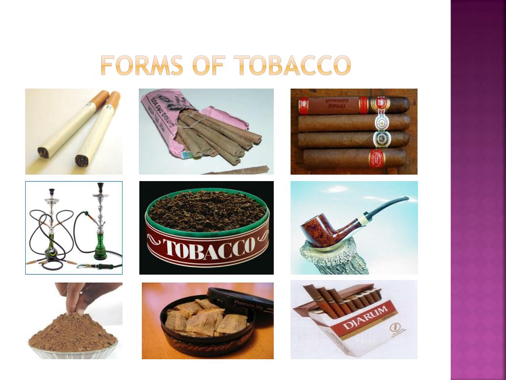 PPT Alcohol, Tobacco, and Marijuana PowerPoint Presentation, free