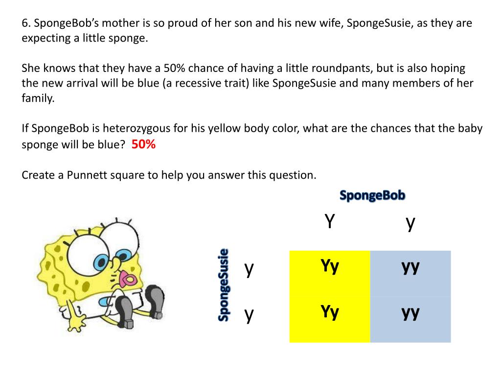 punnett-square-worksheet-with-answer-key