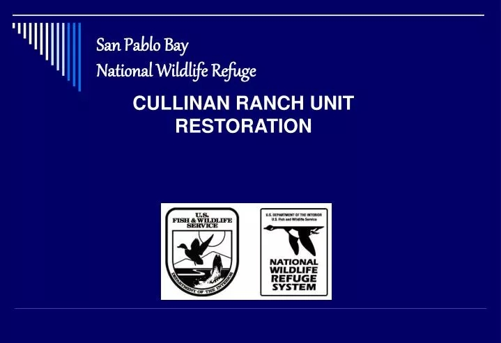 san pablo bay national wildlife refuge n.