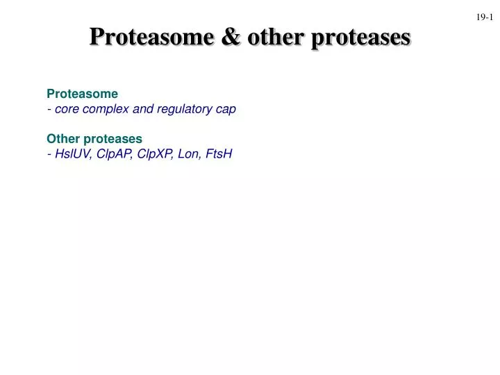 proteasome other proteases n.