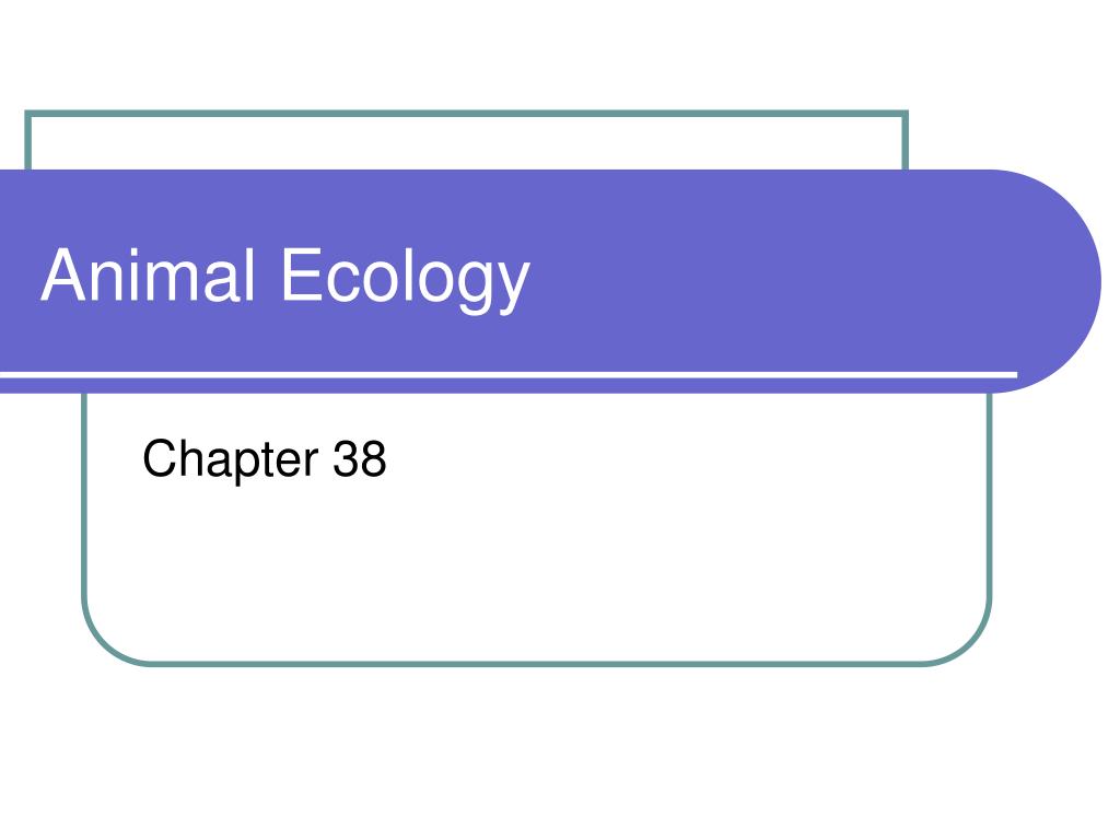 PPT - Animal Ecology PowerPoint Presentation, free download - ID:526441