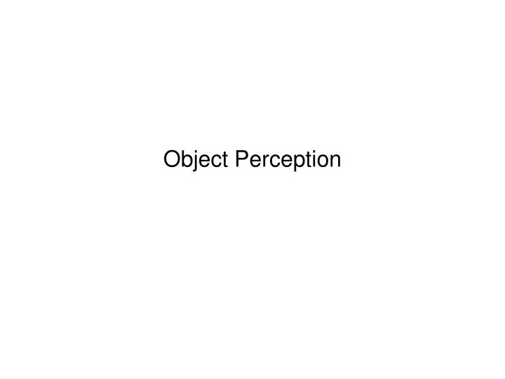 object perception n.