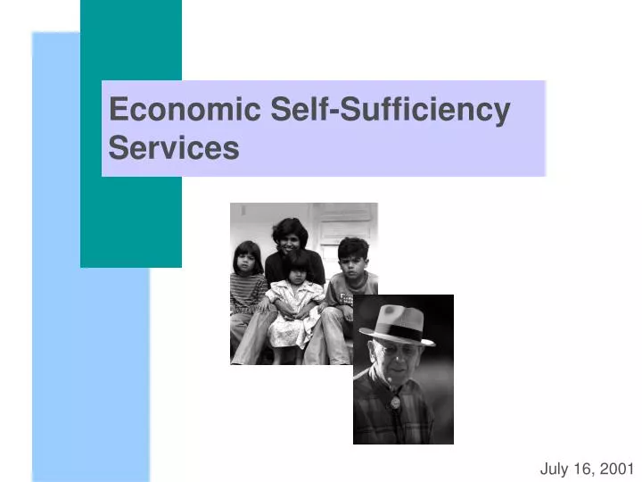 economic self sufficiency services n.