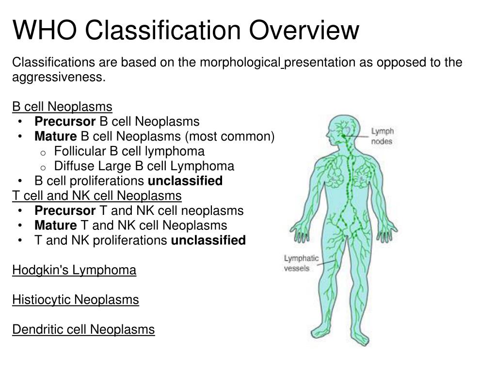Ppt Non Hodgkins Lymphoma Powerpoint Presentation Free Download