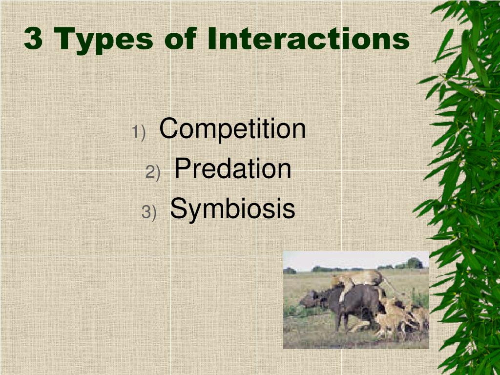 what are the five different types of interactions between organisms