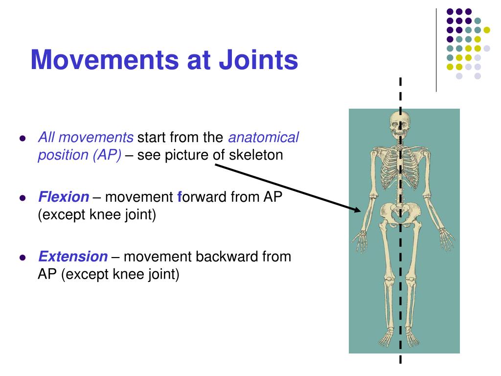 PPT - Joints PowerPoint Presentation, free download - ID:529693