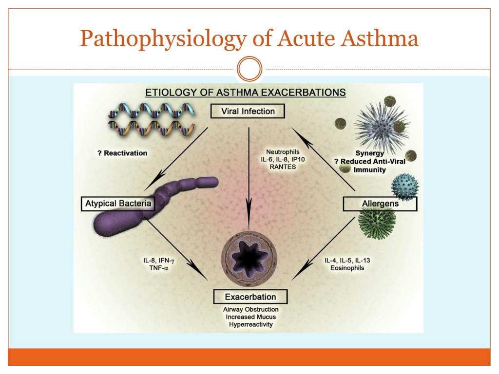 Pathophysiology Of Asthma Flowchart