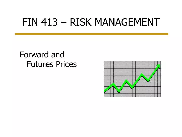 fin 413 risk management n.