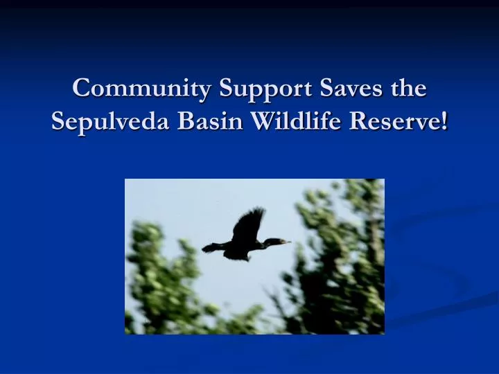 community support saves the sepulveda basin wildlife reserve n.
