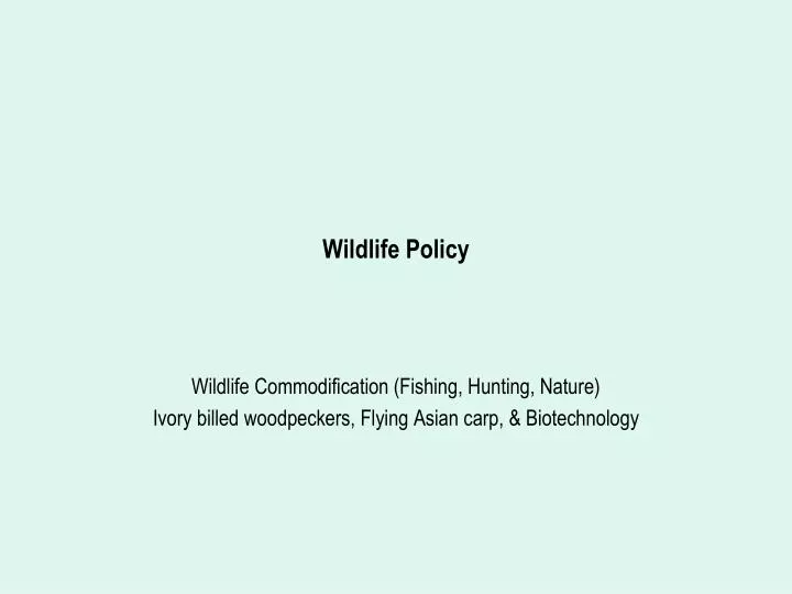 wildlife policy n.