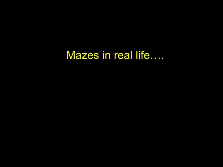 mazes in real life n.