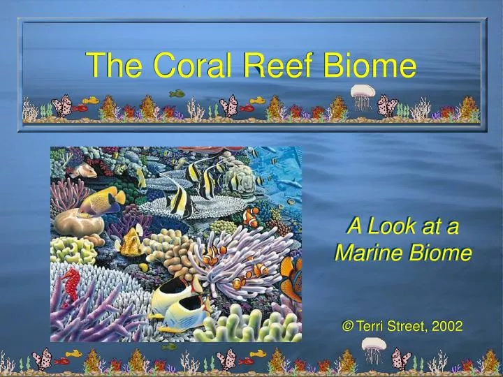 the coral reef biome n.