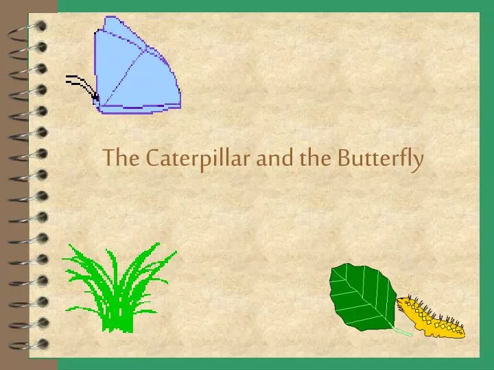 the caterpillar and the butterfly n.