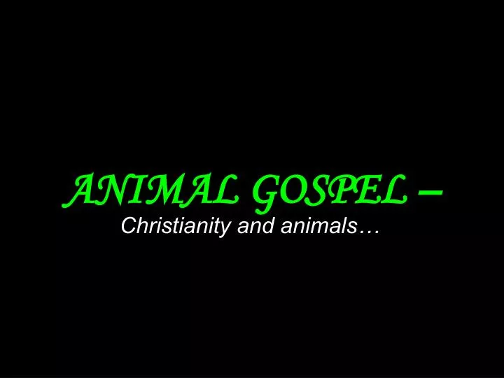 animal gospel n.