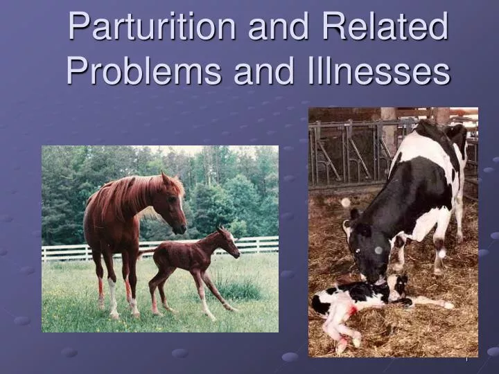 parturition and related problems and illnesses n.