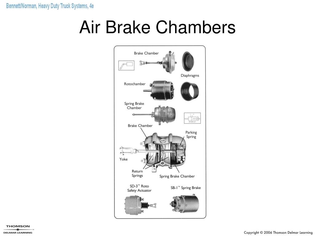 PPT - Chapter 28 PowerPoint Presentation, free download - ID:542676