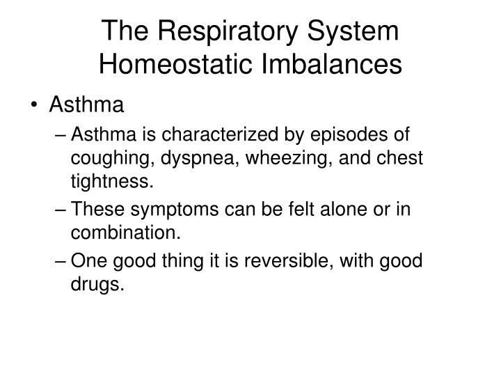 PPT - The Respiratory System Gas Laws PowerPoint Presentation - ID:542998