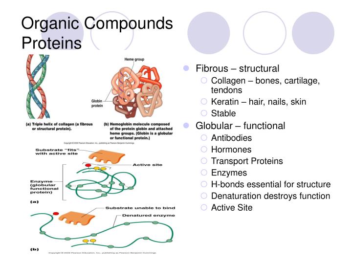 PPT Basic Chemistry PowerPoint Presentation ID543152