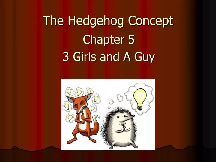 the hedgehog concept n.