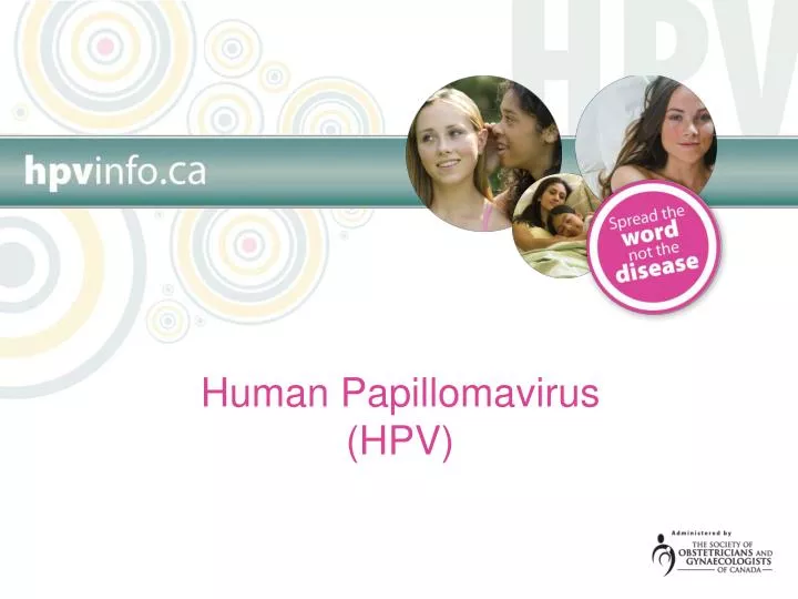 human papillomavirus ppt)