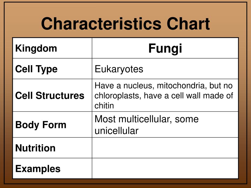 Archaebacteria Characteristics Chart
